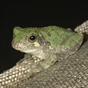 Meet your Posher, Derek